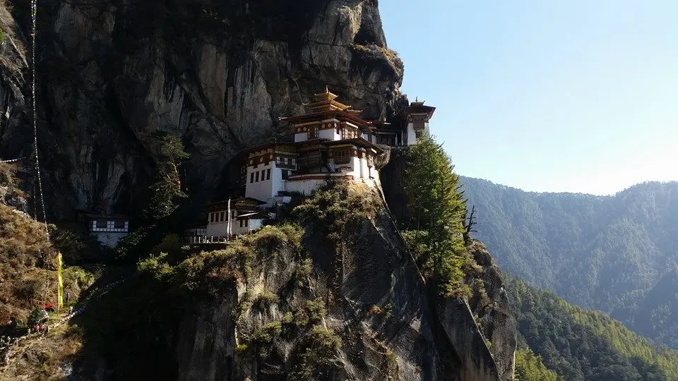 Tiger-Nest